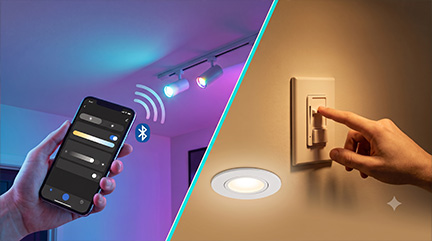 Bluetooth or Manually Controlled LED Lighting